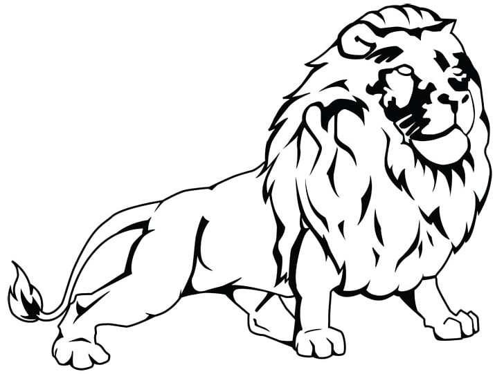 Lion Puppy Tiger Whiskers PNG, Clipart, Animal Figure, Big Cats, Black, Carnivoran, Cartoon Free PNG Download