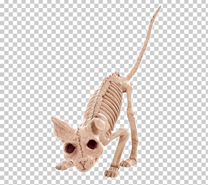 Morris Costumes Se18144 Decorations & Props/Decorations Skeleton Vultu Bone Velociraptor PNG, Clipart, Animal, Animal Figure, Beagle, Bone, Cat Free PNG Download