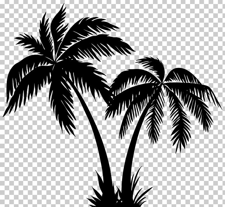 Silhouette Arecaceae PNG, Clipart, Arecaceae, Arecales, Black And White, Borassus Flabellifer, Clip Art Free PNG Download