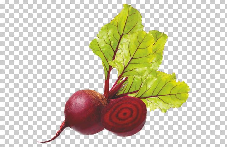 Beetroot Vegetable Organic Food Vegetarian Cuisine PNG, Clipart, Beet, Beetroot, Berry, Chard, Eating Free PNG Download