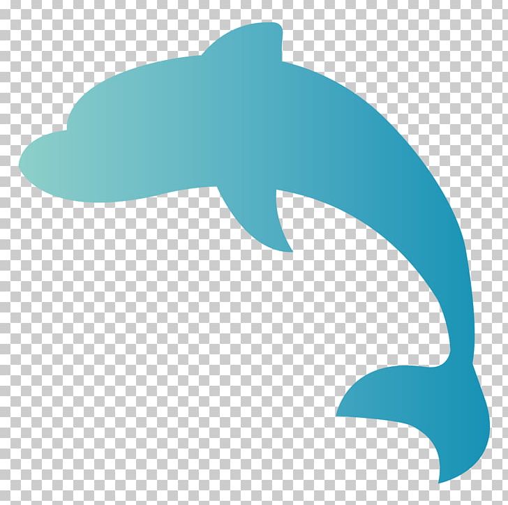 Common Bottlenose Dolphin Product Design Marine Biology PNG, Clipart, 2019, Animals, Aqua, Azure, Biology Free PNG Download