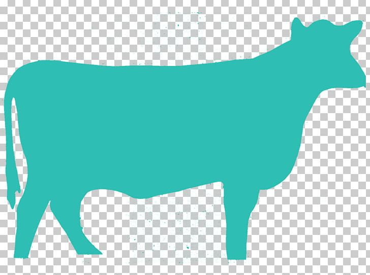 Dairy Cattle Angus Cattle Holstein Friesian Cattle Texas Longhorn Beef Cattle PNG, Clipart, Angus Cattle, Animals, Beef, Beef Cattle, Cattle Free PNG Download