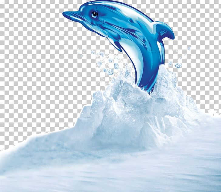 Dolphin PNG, Clipart, Animals, Big Shark, Cartoon Shark, Common Bottlenose Dolphin, Computer Wallpaper Free PNG Download