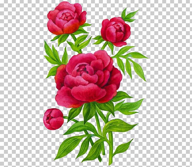 Garden Roses Peony Flower Child Lilium PNG, Clipart, Annual Plant, Child, Color, Cut Flowers, Embroidery Free PNG Download
