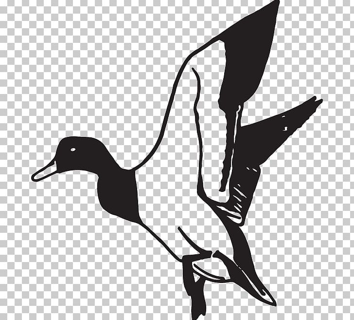 Mallard Duck American Pekin PNG, Clipart, American Pekin, Animals, Art, Artwork, Beak Free PNG Download