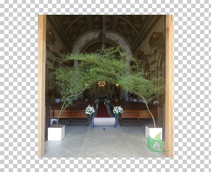 Property Tree Hacienda Courtyard By Marriott Houseplant PNG, Clipart, Arch, Courtyard, Courtyard By Marriott, Hacienda, Houseplant Free PNG Download