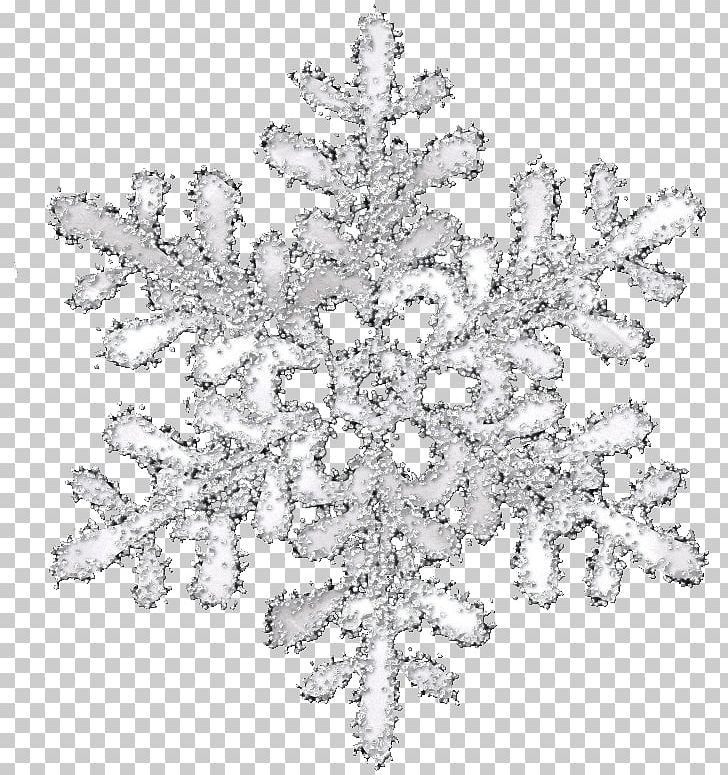 Snowflake Transparency And Translucency Icon PNG, Clipart, Black And White, Decorative, Decorative Snowflake, Digital Image, Download Free PNG Download
