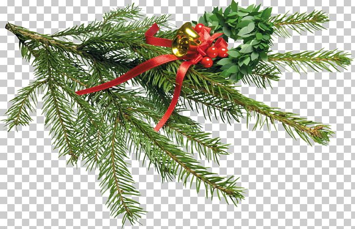 Christmas Ornament Animation PNG, Clipart, Animation, Branch, Christmas, Christmas Decoration, Christmas Ornament Free PNG Download