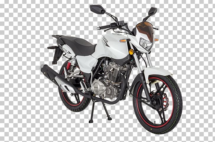 Mondial Motorcycle Drifting Mash Modell's Sporting Goods PNG, Clipart,  Free PNG Download