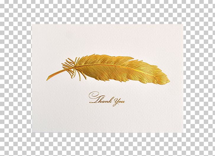 Feather Stationery Greeting & Note Cards Iridescence PNG, Clipart, Animals, Boutique, Card, Feather, Gift Free PNG Download