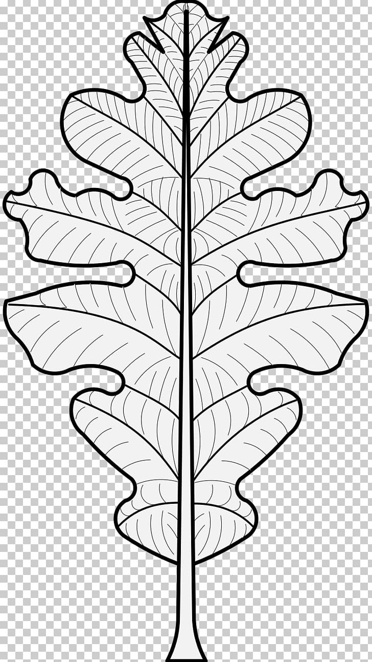 Leaf Plant Stem Heraldry PNG, Clipart, Acorn, Art, Black And White, Branch, Clip Art Free PNG Download