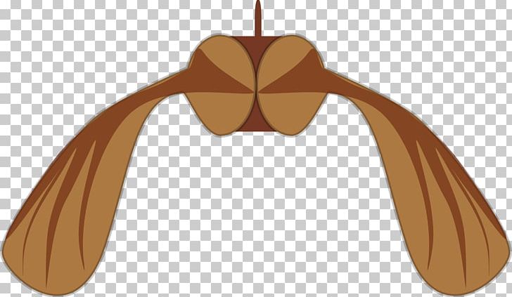 Sycamore Maple Seed PNG, Clipart, American Sycamore, Angle, Download, Drawing, Helicopter Free PNG Download