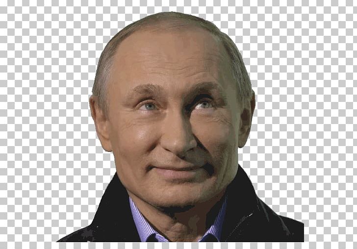 Vladimir Putin President Of Russia Ukraine PNG, Clipart, Cheek, Chin, Direct Line With Vladimir Putin, Donald Trump, Elder Free PNG Download