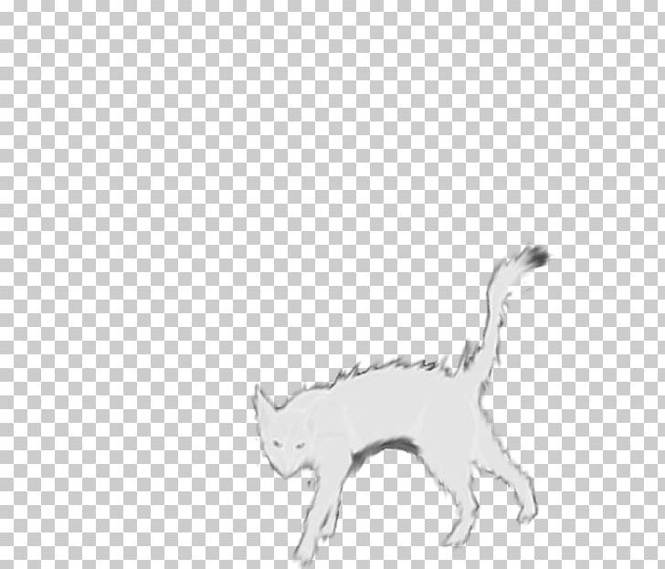 Cat Dog Paw Mammal Canidae PNG, Clipart, Animal Figure, Animals, Black And White, Camel, Camel Like Mammal Free PNG Download