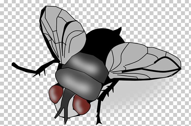 Insect Fly PNG, Clipart, Animal, Arthropod, Black And White, Byte, Description Free PNG Download