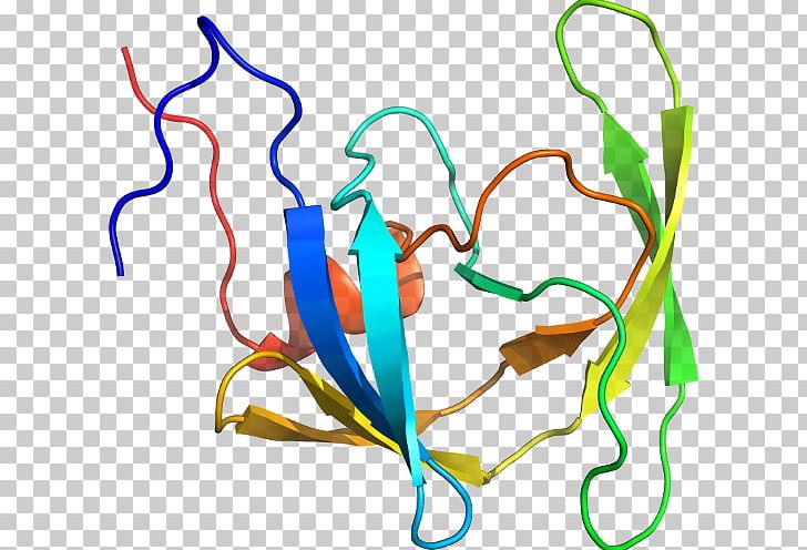 Organism Line PNG, Clipart, Area, Art, Artwork, B 50, Hiv Free PNG Download