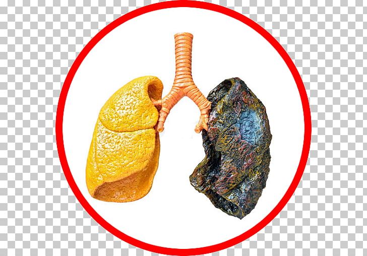 Smoking Cessation Tobacco Smoking Stop Smoking Now Health PNG, Clipart, Adverse Effect, App, Cancer, Cardiovascular Disease, Cough Free PNG Download