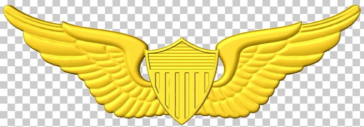 United States Astronaut Badge United States Aviator Badge United States Of America PNG, Clipart, Aircrew Badge, Aviator Badge, Badge, Food, Fruit Free PNG Download
