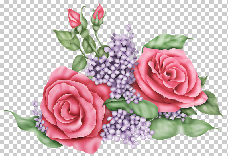 Floral Design PNG, Clipart, Cabbage Rose, Cut Flowers, Family, Floral Design, Flower Free PNG Download