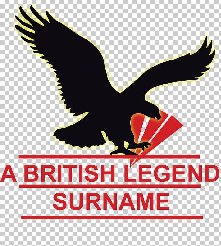 Logo Brand T-shirt Font PNG, Clipart, Artwork, Beak, Bird, Bird Of Prey, Brand Free PNG Download