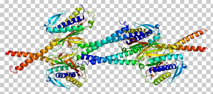 MAD1L1 Spindle Checkpoint Mitosis Protein Spindle Apparatus PNG, Clipart, Cancer, Cell, Cell Cycle Checkpoint, Cell Division, Checkpoint Free PNG Download