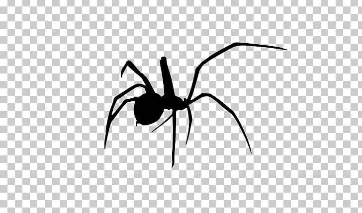 Redback Spider Latrodectus Hesperus Southern Black Widow Ant PNG, Clipart, Ant, Arachnid, Black And White, Black House Spider, Control Free PNG Download
