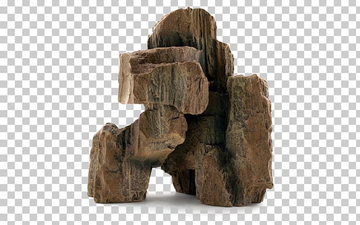Wood Tree Trunk /m/083vt PNG, Clipart, M083vt, Machu Picchu, Nature, Rock, Tree Free PNG Download