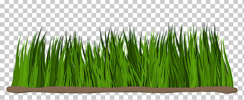 Wheatgrass Commodity PNG, Clipart, Commodity, Wheatgrass Free PNG Download