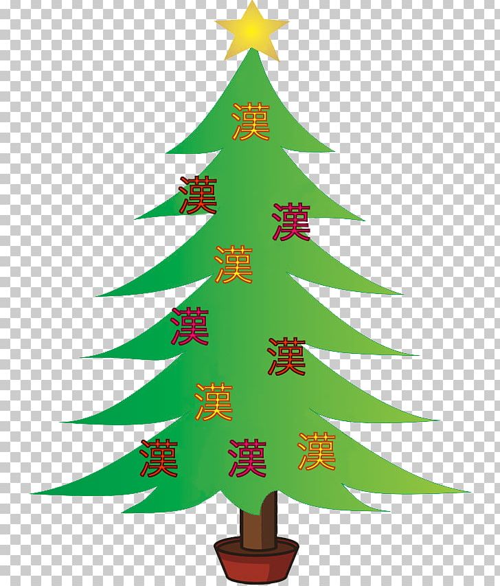 Christmas Tree Lawyer Spruce Verbundplatte Catania Bicocca PNG, Clipart, 1995, Book Cover, Catania, Christmas, Christmas Day Free PNG Download