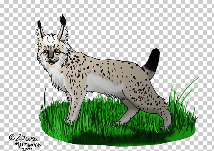 Whiskers Cheetah Cat Lynx Dog Breed PNG, Clipart, Animal, Animals, Big Cat, Big Cats, Breed Free PNG Download