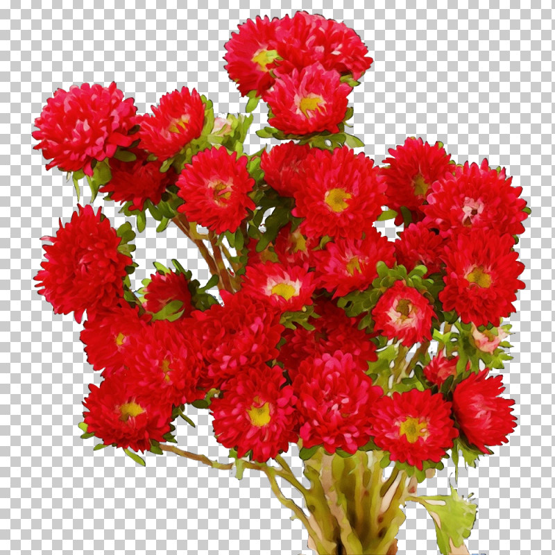 Floral Design PNG, Clipart, Annual Plant, Biology, Carnation, Chrysanthemum, Cut Flowers Free PNG Download