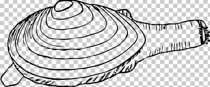 Clam Mussel Oyster PNG, Clipart, Artwork, Black And White, Clam, Clams Cliparts, Drawing Free PNG Download