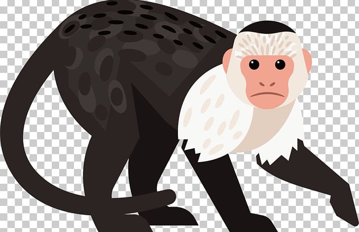 Gibbon Baboons Chimpanzee Monkey PNG, Clipart, Animals, Black, Carnivoran, Cartoon, Cat Like Mammal Free PNG Download