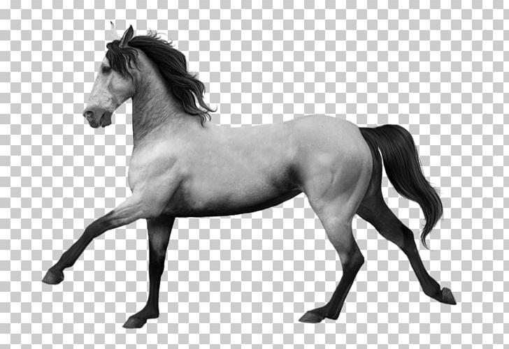 Mane Mustang Stallion Andalusian Horse Mare PNG, Clipart, Andalusian Horse, Animal Figure, Asil, Atlar, Beyaz Free PNG Download