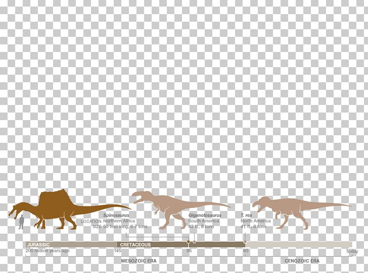 Spinosaurus Giganotosaurus Dopo Questo Lungo Viaggio Horse Apex Predator PNG, Clipart, Apex Predator, Carnivoran, Carnivores, Deer, Dog Free PNG Download