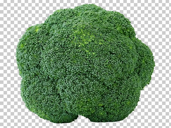 Broccoli Cabbage Cauliflower Brussels Sprout Vegetable PNG, Clipart, Bean, Brassica Oleracea, Broccoli, Brussels Sprout, Cabbage Free PNG Download