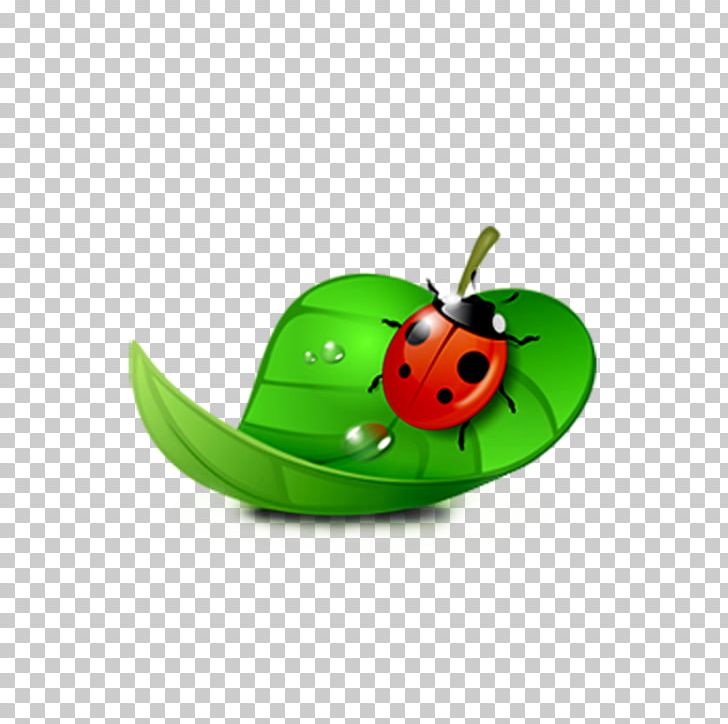 CorelDRAW Computer Software Ladybird PNG, Clipart, Beetle, Computer Software, Corel, Coreldraw, Diagram Free PNG Download