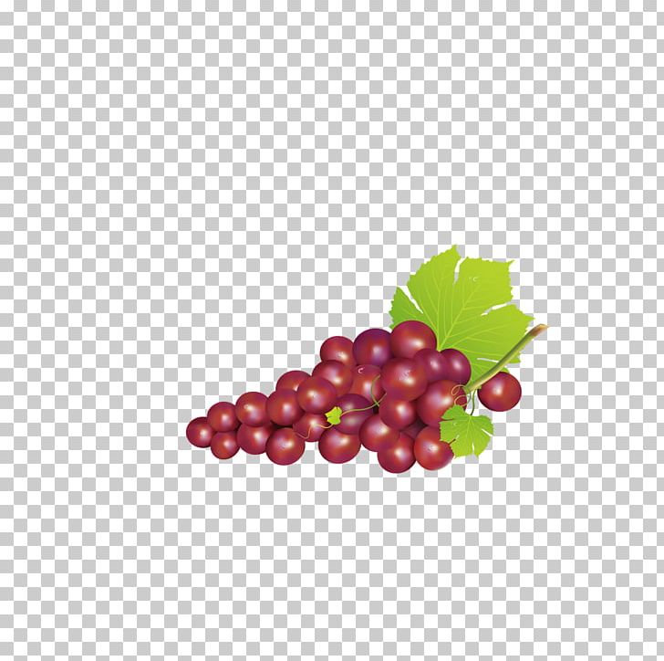 Grape Icon PNG, Clipart, Black Grapes, Bunch, Bunch Of Flowers, Cherry, Decoration Free PNG Download