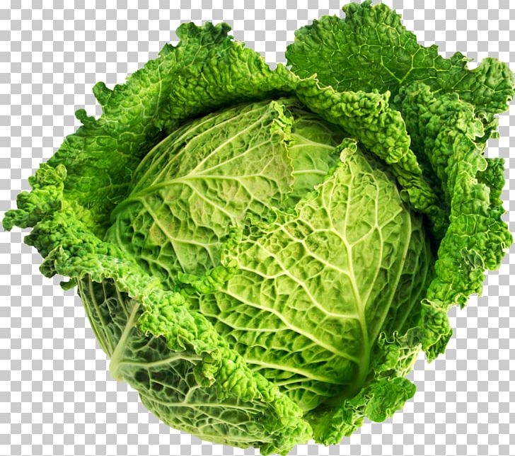 Savoy Cabbage Brassica Oleracea Var. Acephala Vegetable Variety PNG, Clipart, Brassica, Brassica Oleracea, Brassica Oleracea Var Acephala, Cabbage, Cabbage Family Free PNG Download