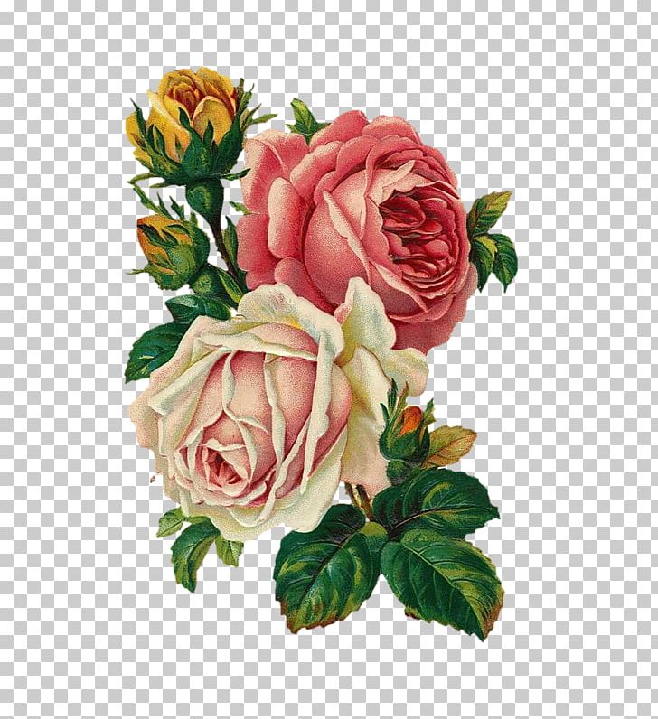 Vintage Roses: Beautiful Varieties For Home And Garden Flower Bouquet Antique PNG, Clipart, Artificial Flower, Cut Flowers, Decoupage, Drawing, Floral Design Free PNG Download