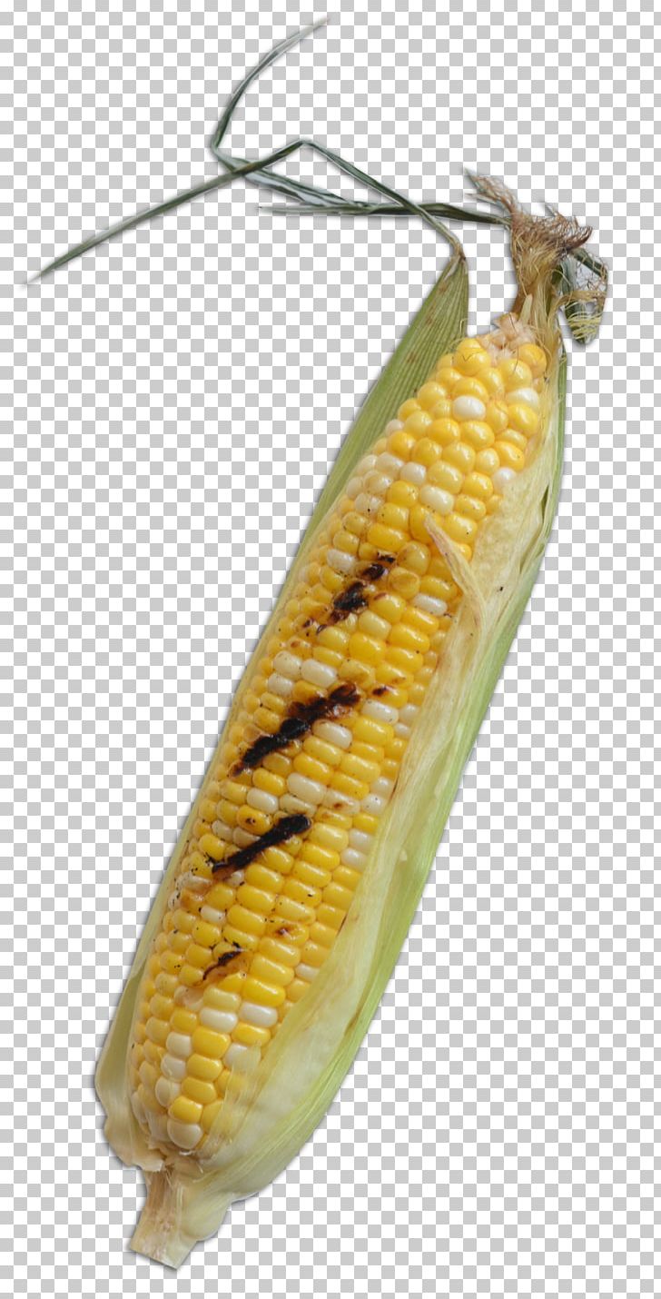 Corn On The Cob Insect Butterfly Commodity Maize PNG, Clipart, Animals, Butterflies And Moths, Butterfly, Commodity, Corn On The Cob Free PNG Download