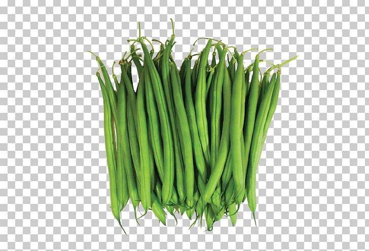 Green Bean PNG, Clipart, Green Bean Free PNG Download