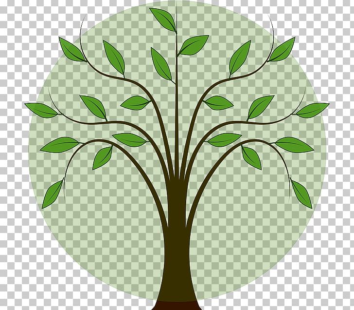 Open Graphics Tree PNG, Clipart, Branch, Computer Animation, Desktop Wallpaper, Download, Flora Free PNG Download
