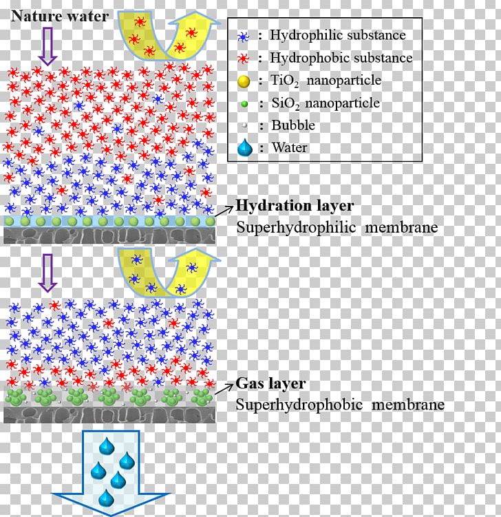 Organic Matter Nanofiltration Superhydrophilicity Hydrophile Membrane PNG, Clipart, Angle, Area, Behavior, Diagram, Fouling Free PNG Download