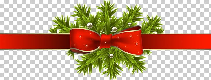 St Francis Catholic Church Christmas Ornament Christmas Decoration Gift PNG, Clipart, Christmas, Christmas Card, Christmas Decoration, Christmas Ornament, Christmas Tree Free PNG Download