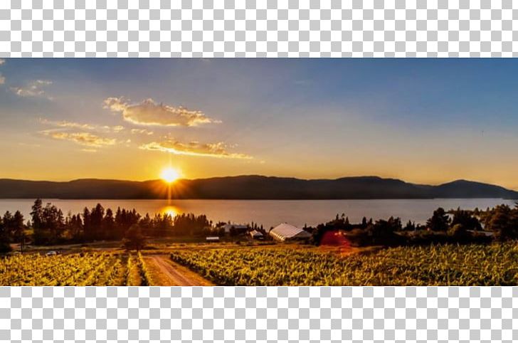 Summerhill Pyramid Winery Okanagan Lake Sunset Organic Bistro Mission Hill Winery PNG, Clipart, British Columbia, Canada, Cloud, Computer Wallpaper, Dawn Free PNG Download