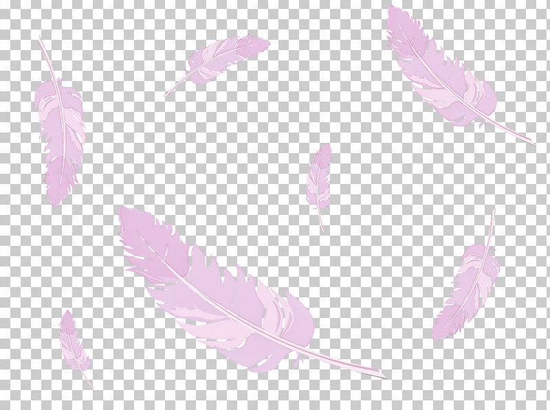 Feather PNG, Clipart, Feather, Leaf, Lilac, Magenta, Pink Free PNG Download