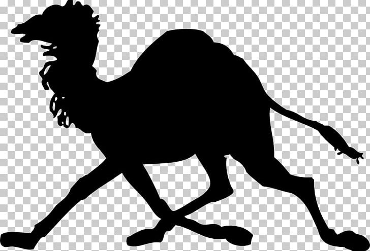 Camel PNG, Clipart, Animals, Arabian Camel, Black And White, Camel, Camel Like Mammal Free PNG Download