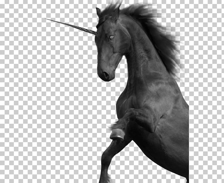Mustang Unicorn Black And White PNG, Clipart, Bit, Black And White, Bridle, Deviantart, Horse Free PNG Download