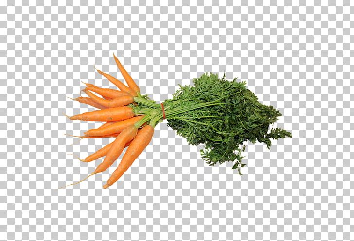 Baby Carrot Vegetable Food PNG, Clipart, Baby Carrot, Broth, Bunch, Carrot, Carrot Seed Oil Free PNG Download